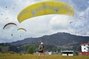 9f7a6388949pguy7dqupexiy6czl_shutterstock_271711712